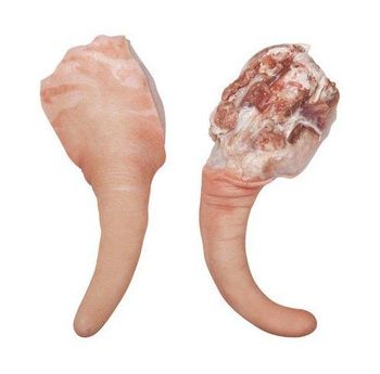 Premium Quality Wholesale Supplier Of Frozen Pork Tail | Pork Tail Meat For Sale - N.G westen holding B.V - Netherlands