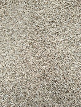 White Quinoa roasted Texture Crunchy Place of Origin india Gluten Status Gluten-free Delivery Time Fast Dispatch Shelf Life Longer Shelf Life - Opelion Global Pvt Ltd  - India