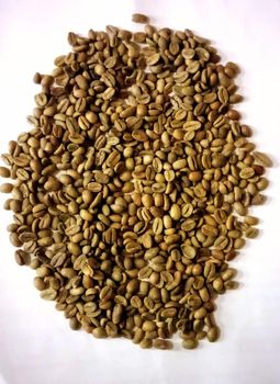 Agriculture, Food & Beverage - Hera Tea and Coffee - United Arab Emirates