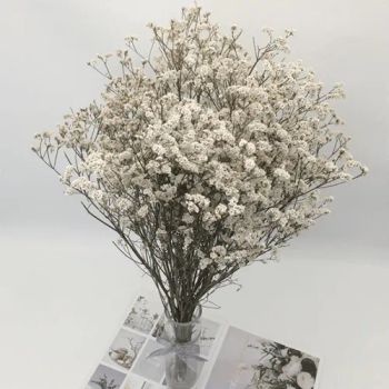 Crystal Grass Dry Plant Tall Fluffy Natural Dried Crystal Grass for Wedding Home Decoration - Taojue(Zhuhai)Technology Co., Ltd - China