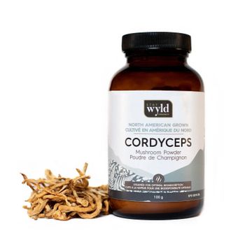 Organic Mushroom Powder from Magic SS GMBH Organic Mushroom Powder - Magic SS GMBH - Germany