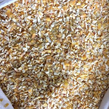 Crushed Maize - Chezlynne Trading (Pty) Ltd  - South Africa
