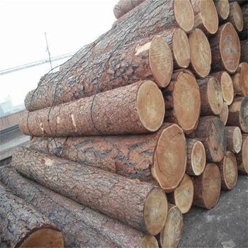 High quality Pine wood log Bowing <5% Per Meter End Squareness 90° ± 5° Loading Format Loose 20 – 25 Mt Loading Format Bundled 20 – 22 - BF GLOBAL TRADING (PTY) LTD - South Africa