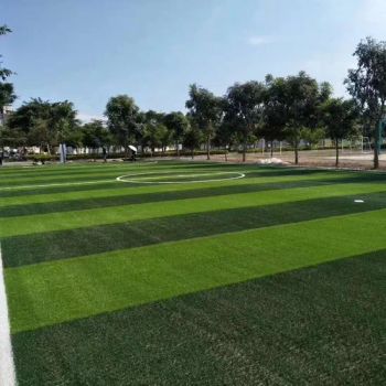 Synthetic Grass Landscape Grass Artificial Turf - Shandong Tuoyi Environmental Protection Materials Co., Ltd. - China