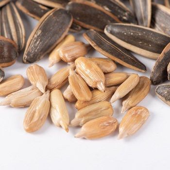 High Quality Vietnam-Grown Sunflower Seeds Raw Confectionery Flavor Dried Style Sunflower Kernels High Grade - TRADECENTRIC LLC - United States