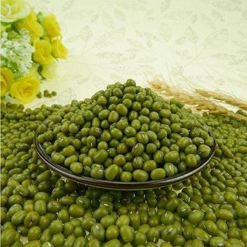 Green Mung Beans, Affordable High Quality, Wholesale Bulk Orders from A.C.P. AGRICULTURE COMPANY LIMITED Green Mung Beans, Affordable High Quality, Wholesale Bulk Orders - A.C.P. AGRICULTURE COMPANY LIMITED - Thailand