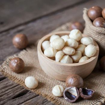 Natural Whole Macadamia Nuts Raw Pure Clean Affordable Wholesale & Bulk Supplies - A.C.P. AGRICULTURE COMPANY LIMITED - Thailand