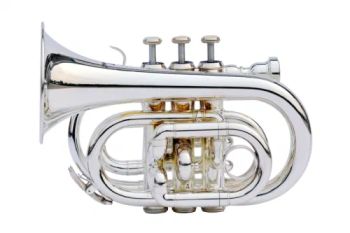 Pocket Trumpet / Bb Trumpet / Trumpet Age Adults Brand Forest Origin China Color Silver Trademark OEM Certification SGS HS Code - Jin Ming Musical Instruments Co., Ltd. - China