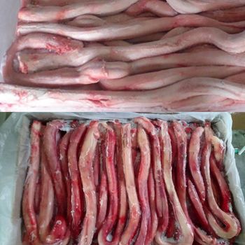 Premium Quality Halal Frozen Beef Pizzle for Export from Mutlu Et Mustafa Premium Quality Halal Frozen Beef Pizzle for Export - Mutlu Et Mustafa - France