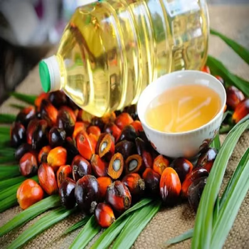 International Supplier Of Edible Oils Provides Refined Palm Oil With Quality Processing And Export Ready - malter group - Tanzania