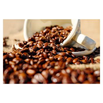 Most Selling Robusta Green Coffee Beans from India Estates for Good Aroma Flavor Buy Now From Indian Supplier - ZENITH WORLD - India