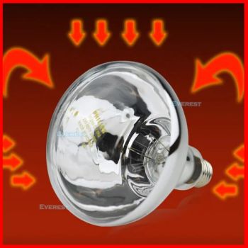 Infrared Heating Lamps for Food Procesing Origin Korea Model NO. LGT Material Glass Certification CE HS Code 8539490000 Transport Package 1PC/Box, - Hubei Everest Company Limited - China