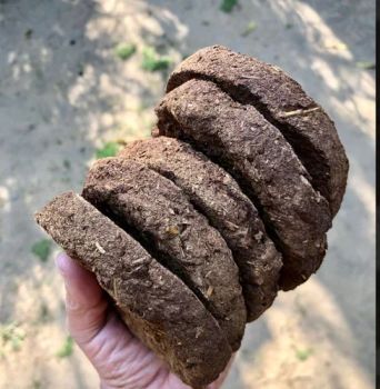 cow dung manure and cakes Origin Nepal Quality Grade Best Quality Minimum Order Quantity 500 Kg Packaging Vacuum-packed, 20 Kg - Ram Chandra Sahu - Nepal