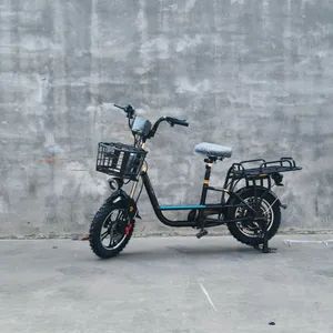 Heat-Preserving Snow Food Bike for Warm Meal Winter Delivery Size 16" Trademark No Gears 3speed Brand Name No Wattage - Linyi Lansheng New Energy Electric Vehicle Co., Ltd - China