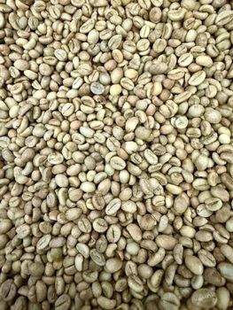 212 Brazilian Coffee Beans Blend of Grains Arabica Conilon-Roasted-New Crop-CAICARA Brand-FOB Price Per 250gr - Smart Agri GmbH - Germany