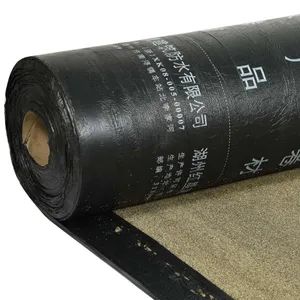 Curlable Durable Construction Material Sbs Modified Waterproof Membranes for House Construction - Huzhou Hongxing Architectural Waterproof Co., Ltd. - China