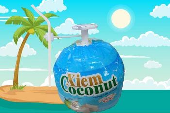 Easy open coconut + plastic straw - HAO QUANG COCONUT ONE MEMBER COMPANY LIMITED - Vietnam