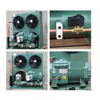 Customized Piston Refrigeration Compressor Units Motor Commercial Condensing Systems for Refrigerators Air - Zhejiang Briliant Refrigeration Equipment Co., Ltd - China