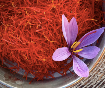 Organic Indian Saffron -  BS International  - India
