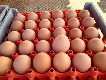 Natural Isa Brown Hatching Eggs Suitable For Incubators And Poultry Breeding Programs from CPW TRADE LTD Natural Isa Brown Hatching Eggs Suitable For Incubators And Poultry Breeding Programs - CPW TRADE LTD - United Kingdom