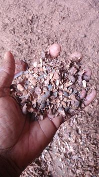Cocoa shell - Mese investment ltd - Nigeria