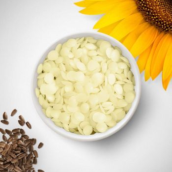 Premium Quality Sunflower Wax Wholesale Supply At Factory Price For Industrial And Commercial Use - MASI TRADING GMBH - Germany