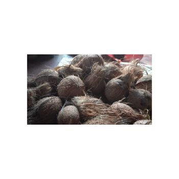 Bulk Coconut Palm Fiber with high tensile strength for international markets from AMAC GOLD AND DIAMOND METALS SUPPLIER Bulk Coconut Palm Fiber with high tensile strength for international markets - AMAC GOLD AND DIAMOND METALS SUPPLIER - Germany