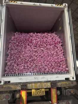 Garlic Size 5-5.5cm Color Pure White Weight Per Bag 2.5kg Minimum Order Quantity 29 - wow supply chain management co.,ltd - China