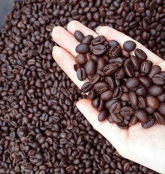 Hot Selling Premium Quality Robusta Arabica Coffee Beans Organic Direct Wholesale Green Roasted Blended Colored Dried Style Bulk from AGRONOVA Hot Selling Premium Quality Robusta Arabica Coffee Beans Organic Direct Wholesale Green Roasted Blended Colored Dried Style Bulk - AGRONOVA - United States