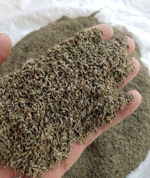 Anise seeds Packaging 25kg Place of Origin - Khirat Baladna KB for import & export - Egypt