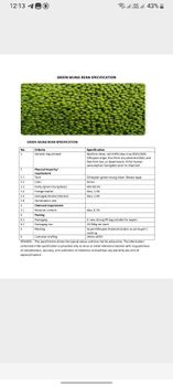 Mung bean from Rada Mung bean - Rada - Ethiopia