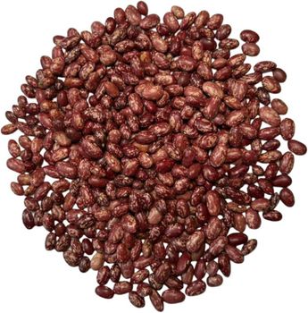 Nambaale Masaavu Beans - Wyld Traders - Uganda