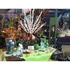 Product - Louisville Garden Center - United States