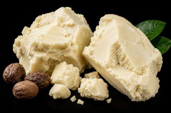 Shea Butter (Karité) - Africa Marconte - Germany