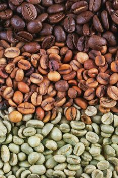 Premium Coffee Beans – High-Quality Arabica and Robusta Beans for Wholesale and Export - jbssa - Brazil
