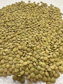 We Sell Green and Red Lentils (Wide Range of product) and Chickpeas