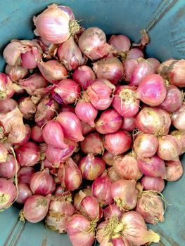 Small onion - Fresh mart trading  - India