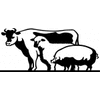 Product - GLOBAL LIVESTOCK LTD - Ireland