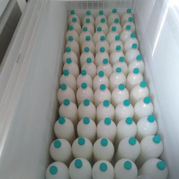 Donkey Milk (Fresh) Delivery Form Bag Fat Content > 30% - 50% Degree of Processing Other Age > 1 Month - 3 Months, > 12 Months - Rudra Dairy and Farms - India