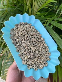 VIETNAM ROBUSTA GREEN COFEFEE BEANS GRADE AA Origin Vietnam Screen Size S18 Variety Robusta Packaging 60kg Jute Bag Payment Terms T/t Or L/c - CÔNG TY TNHH THƯƠNG MẠI DỊCH VỤ  GIẤY HOÀ AN - Vietnam