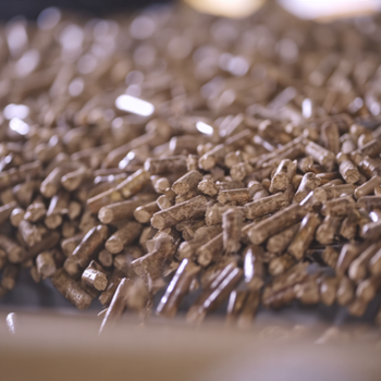 Biomass Boiler Fuel Power Plant Phu Tai Wood Pellet Ash Content ≤ 1.7 % Moisture Content ≤ 10 % Calorific Value ≥ 4,000 - PHU TAI JOINT STOCK COMPANY - Vietnam