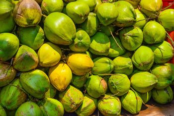 Green Coconut Origin India Features Vegan Color Clear To Slightly Cloudy Inner Flesh Consistency Jelly-like Liquid Content Natural - Chakr Global Pvt ltd - India