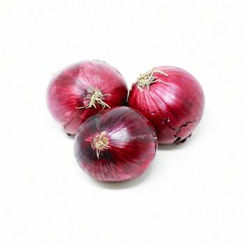 High Quality Fresh Onion Crop With Modern Packing Process And Clean Farm Handling - malter group - Tanzania