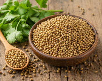 Premium coriander powder - Fatima's spices - Pakistan