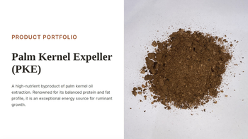 Palm kernel expeller - PT. Sukses Karya Sudaryo - Indonesia