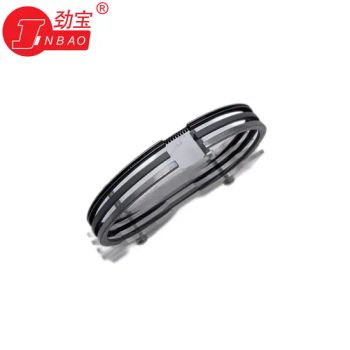 Deutz FL913c Auto Engine Piston Rings of 0423-1303 for Truck - SHIJIAZHUANG WUXING ENGINE PARTS CO., LTD. - China