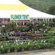Product - Flower Tent - United States