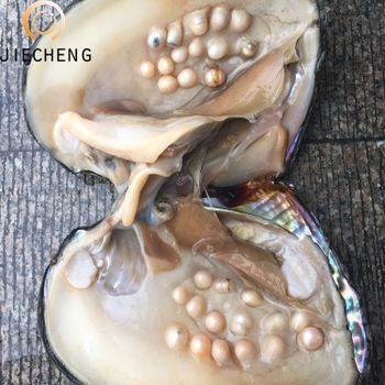 High quality freshwater pearl oyster with fresh wholesale pearl oyster - Zhuji Jiexia Trading Co., Ltd.. - China