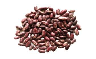 Royal polished beans - SULTAN AGRO IMPEKS - Uzbekistan