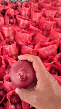 Fresh Indian Onions Nasik - Target EXIM - India